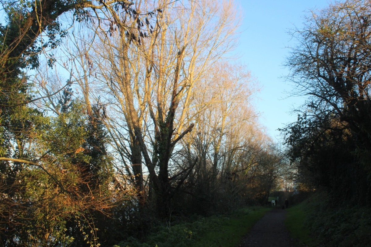 1_cheminement-IMG_6358