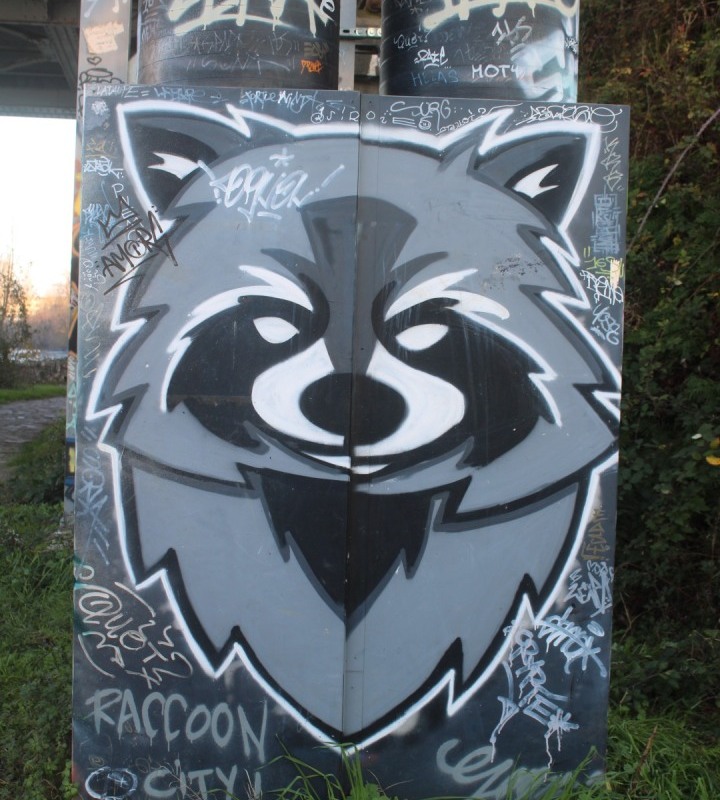 1_pont-SNCF-IMG_6361