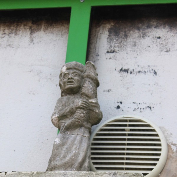 Samson-IMG_6355
