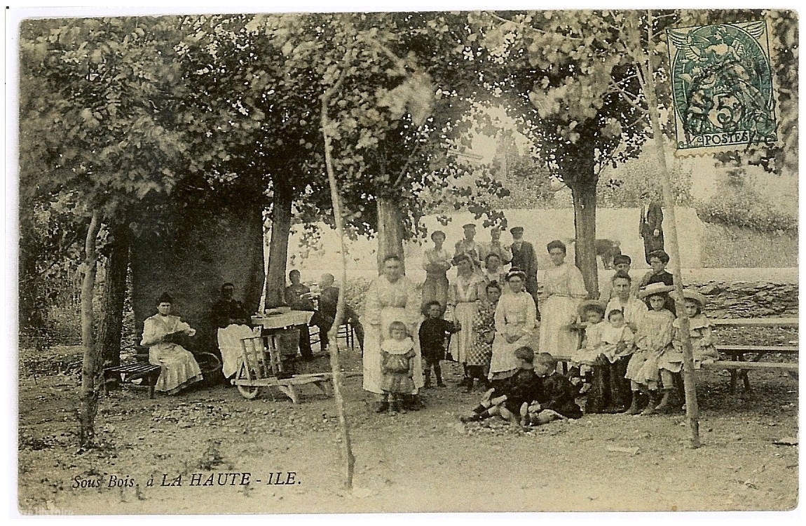 AMRezé_Sous-bois-a-la-Haute-Ile