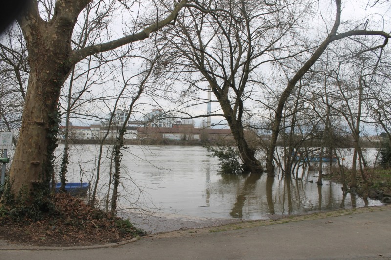 crue-IMG_3050