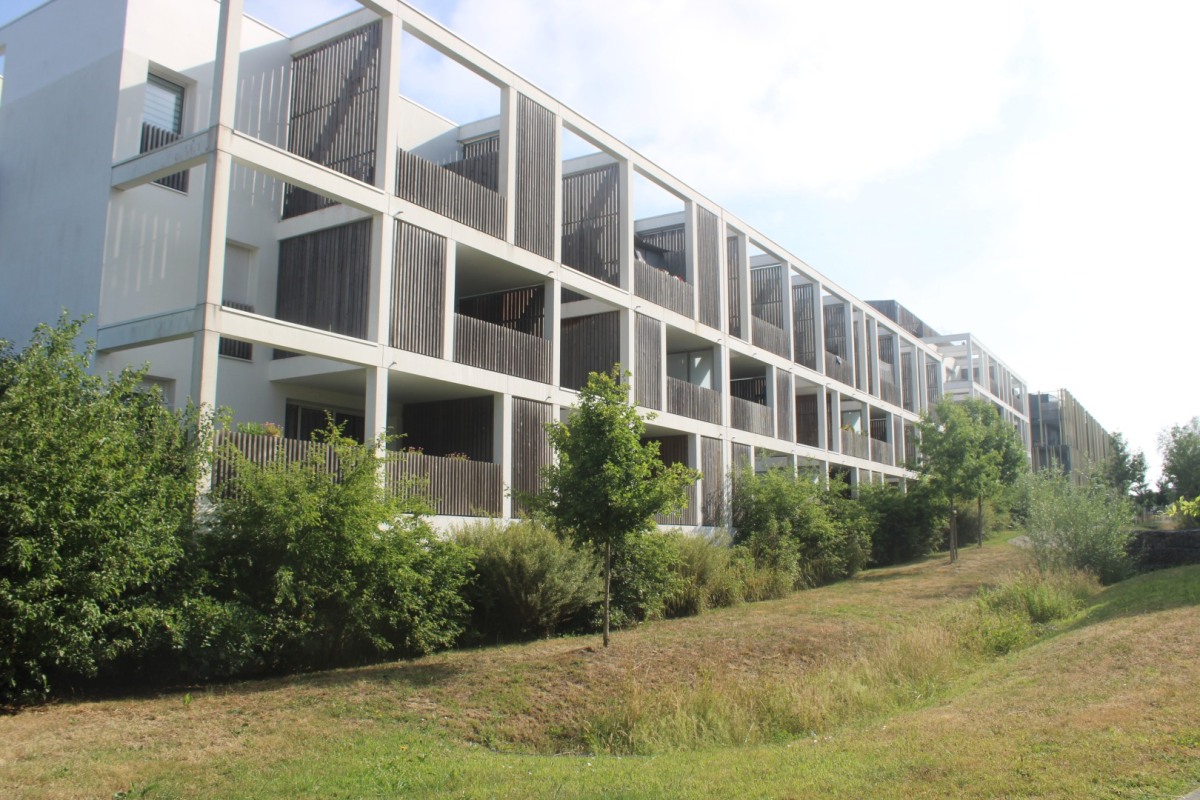 3-Jaguere-Zac-IMG_2379