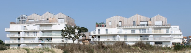 6-IMG_8316
