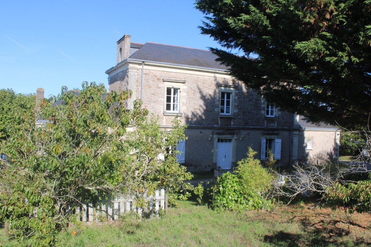 Athenas-Bruneliere-IMG_4894