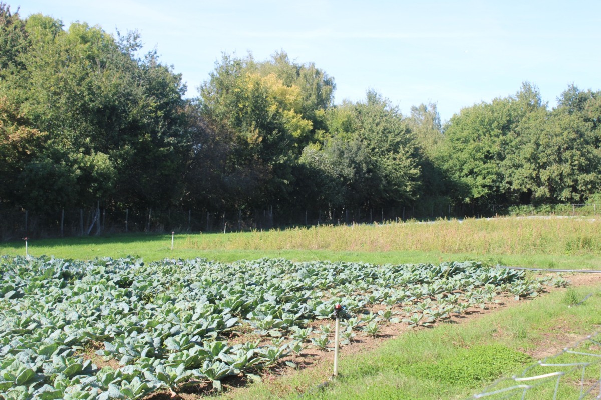 Bernardiere-IMG_4905