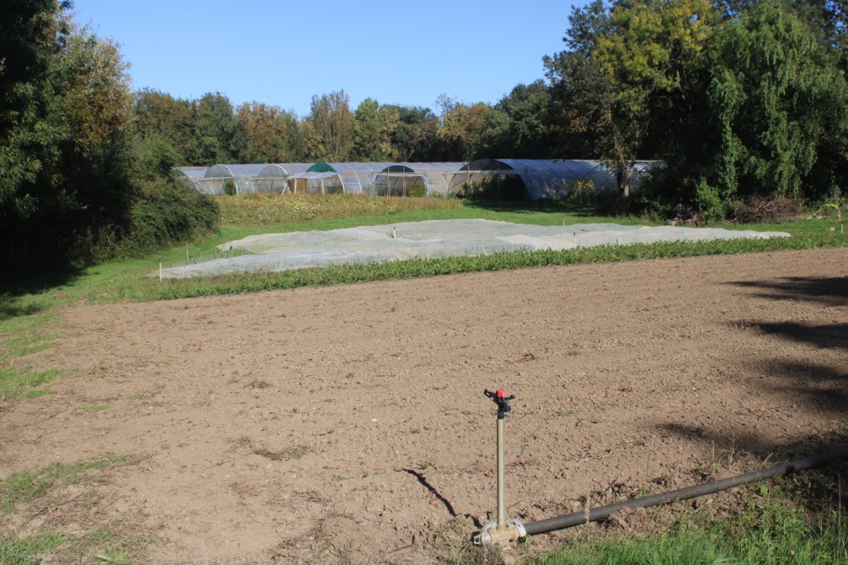 Bernardiere-IMG_4908