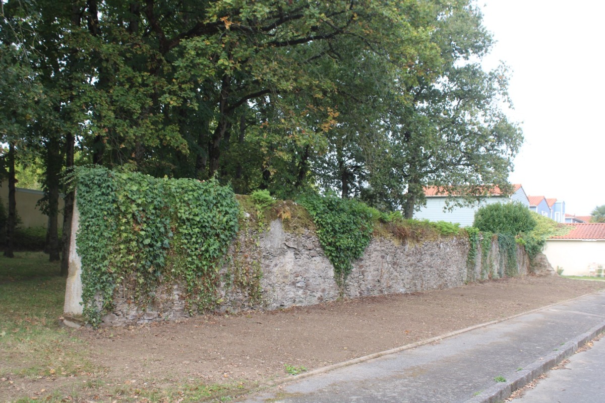 Bonamy-IMG_4955