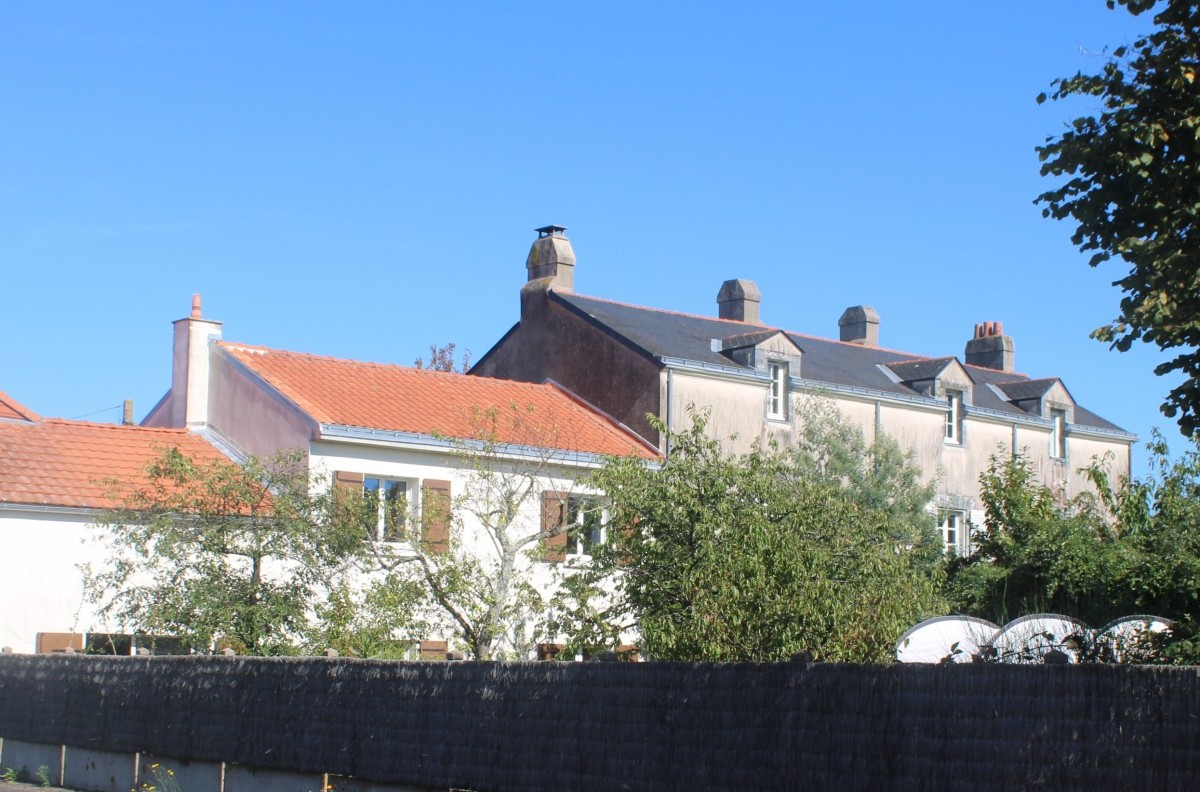 Brossis-IMG_4875