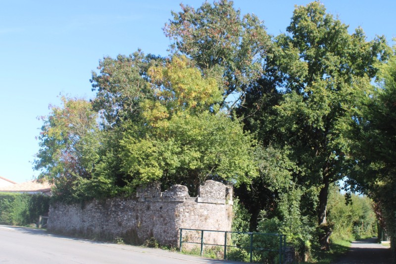 GuzoireIMG_4866
