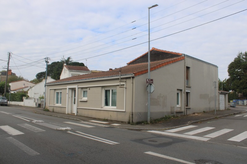 Jaunais-IMG_4950