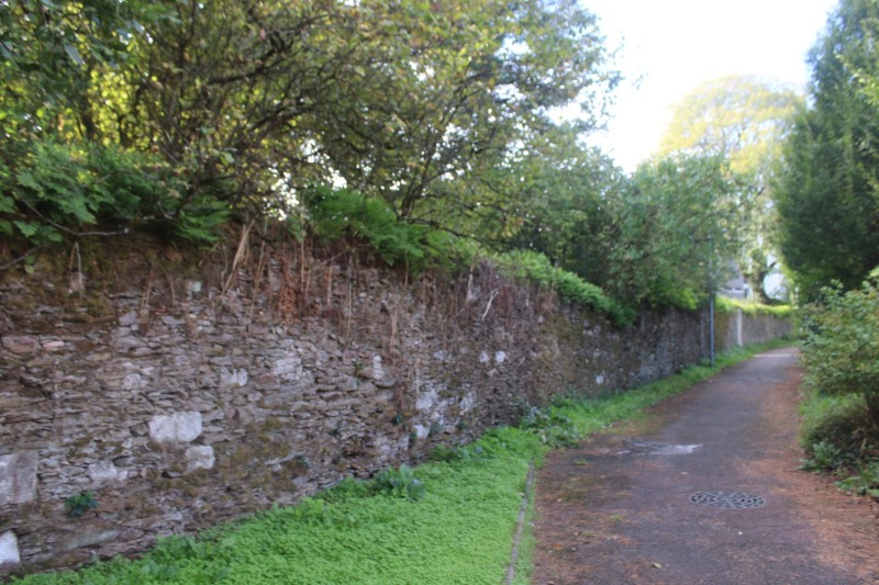 Jaunet-mur-IMG_5194