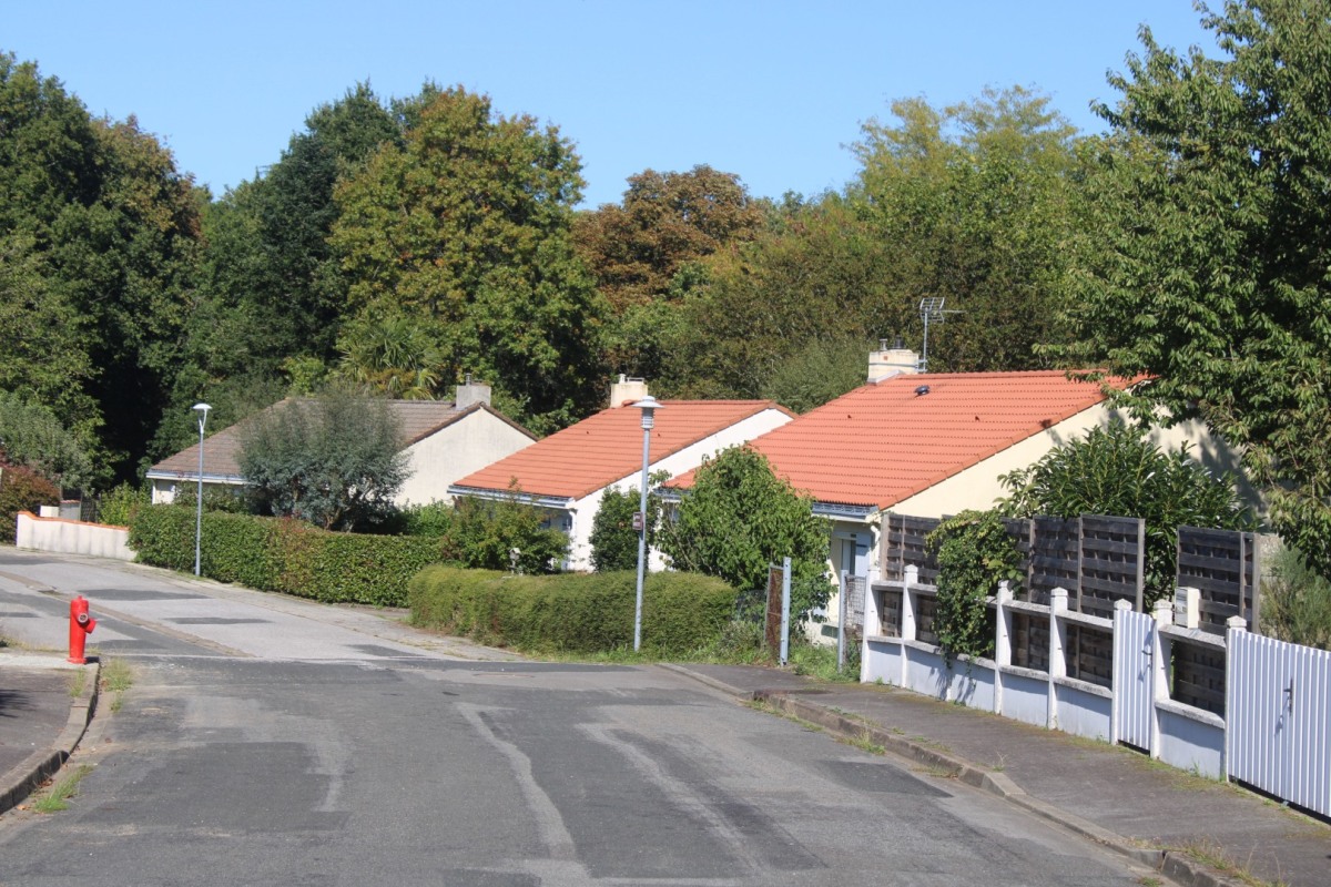 Machetterie-IMG_4879