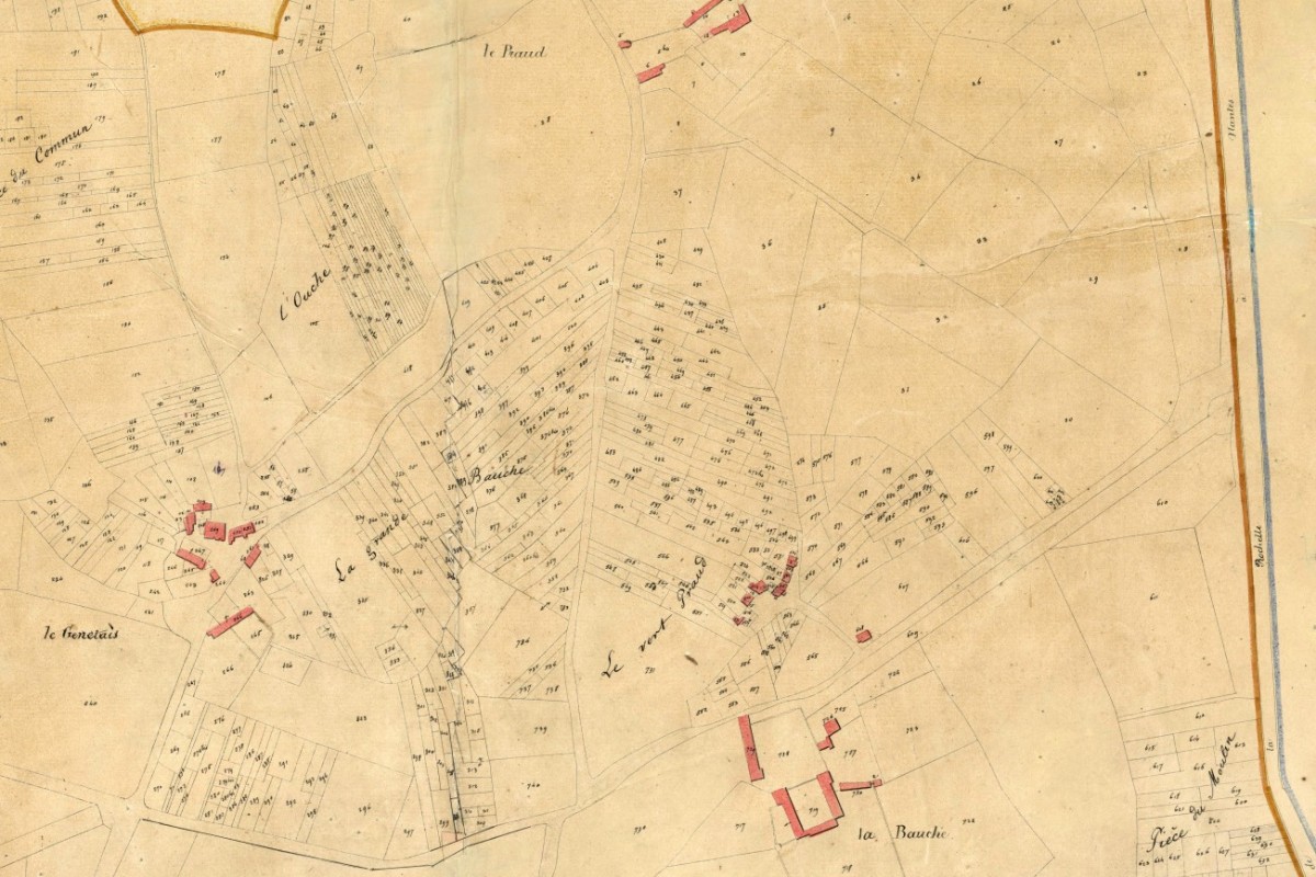 1826-E12-Genetais-Bauche-Tiraud