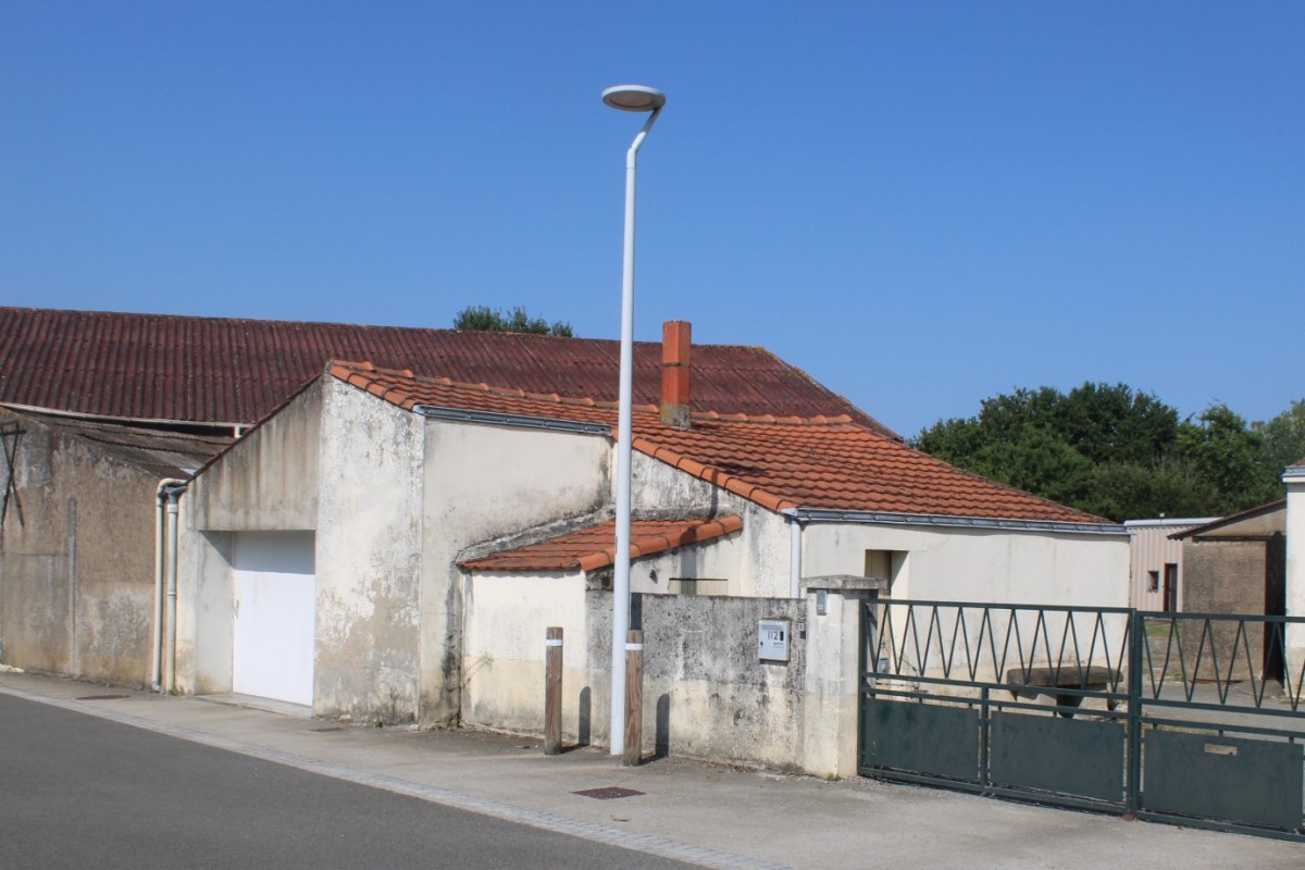 Brosse-IMG_4179