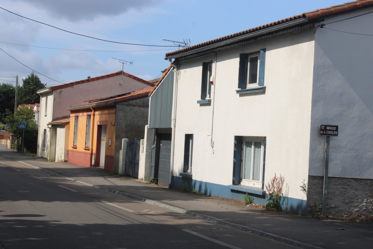 Genetais-IMG_3443