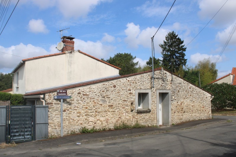 Genetais-IMG_3446