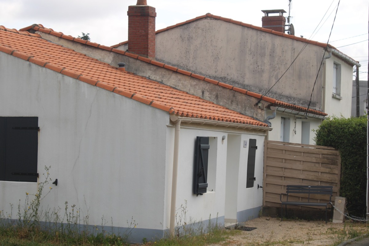 Genetais-IMG_3448
