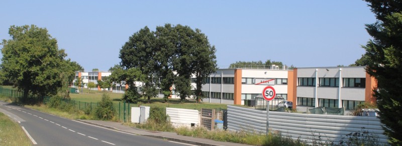 Genetais-IMG_4185