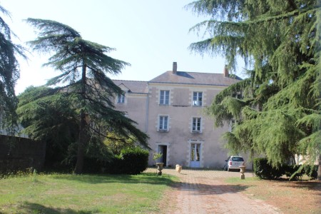 Brosse-IMG_4180