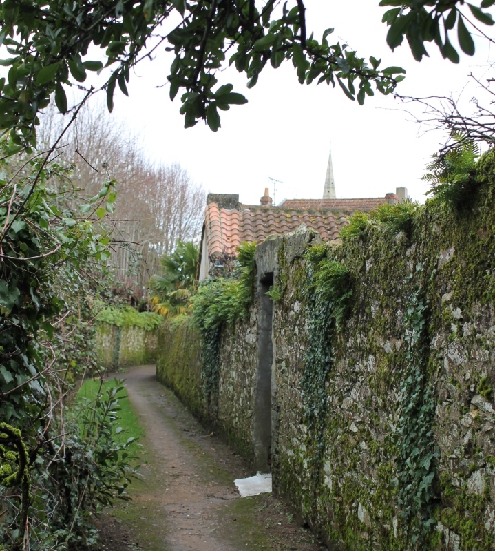 Bourg-007