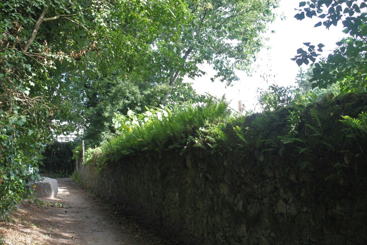Roquios-IMG_6239