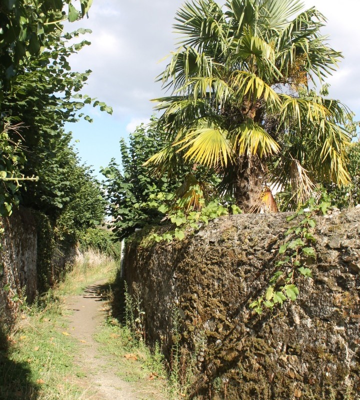 St-Martin-pl-Blanche-IMG_0736