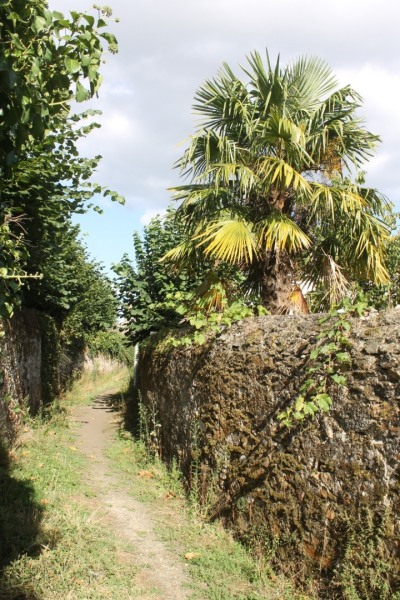 St-Martin-pl-Blanche-IMG_0736