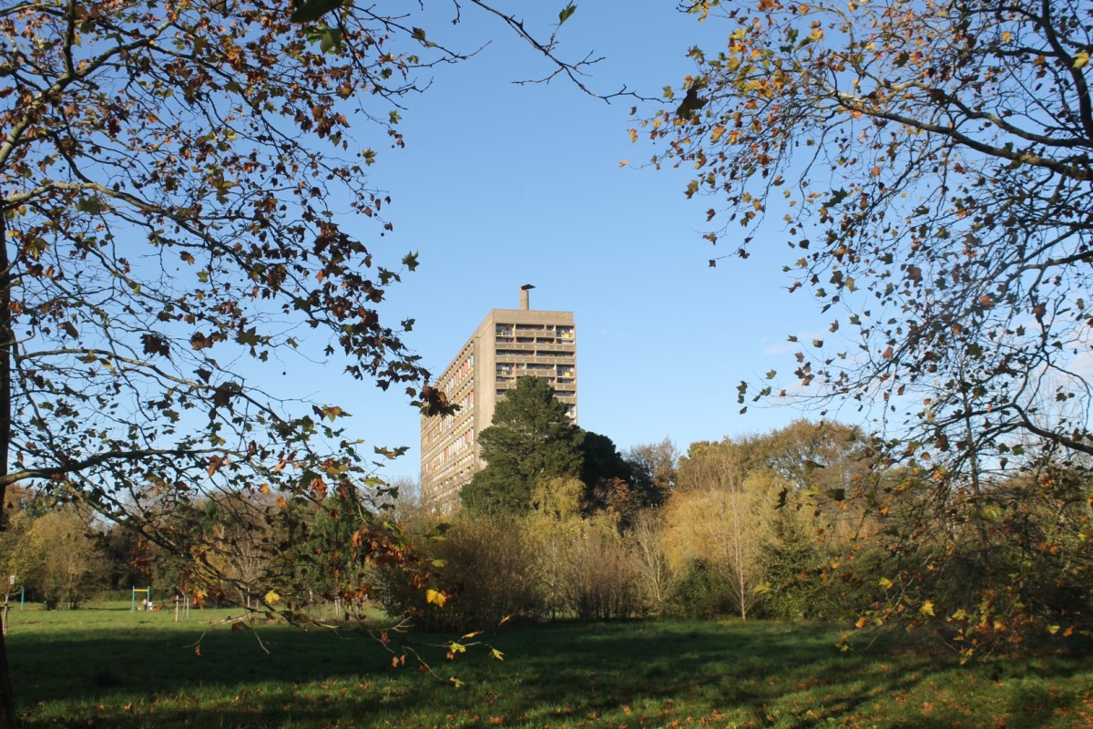 champ-IMG_2298-Corbu