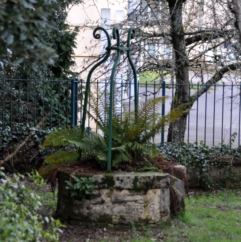 DSC_0005