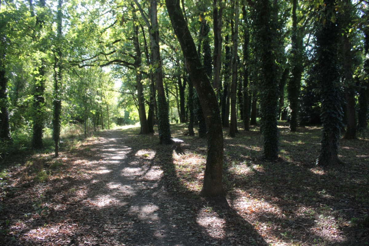 Chemin-bleu-IMG_4897