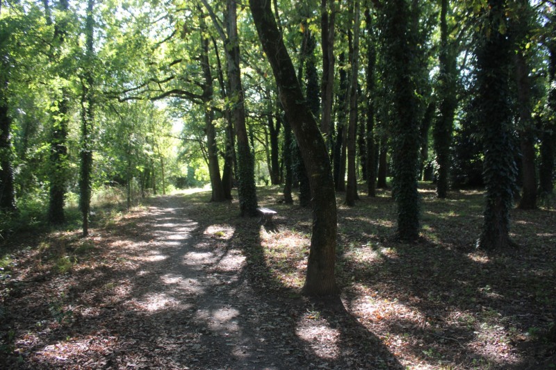 Chemin-bleu-IMG_4897