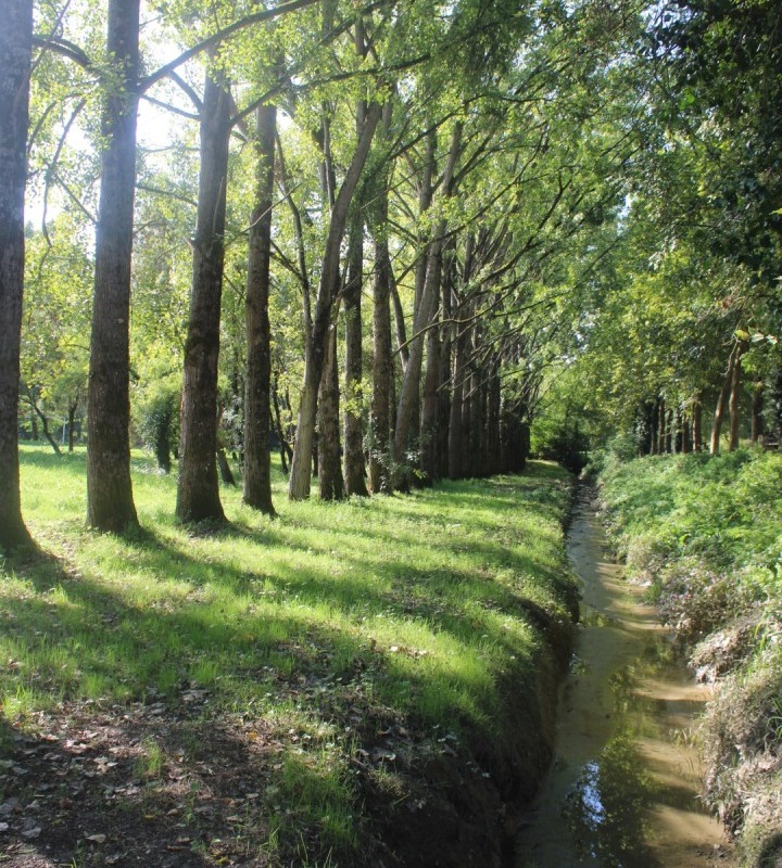 Jaunais-Chemin-Bleu-IMG_4982