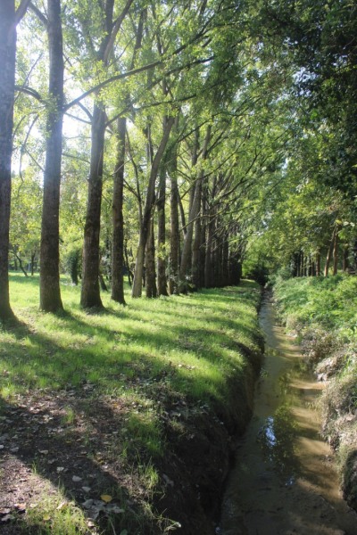 Jaunais-Chemin-Bleu-IMG_4982