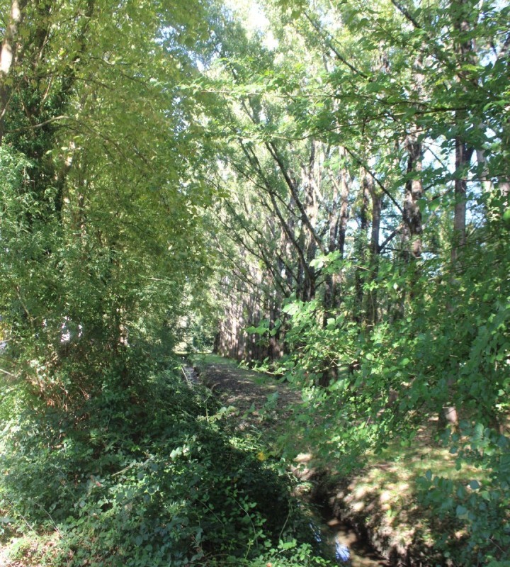 chemin-bleu-IMG_4898