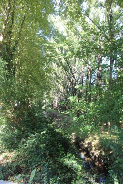 chemin-bleu-IMG_4898