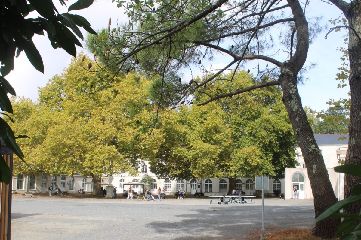 31-Naudieres-UCO-IMG_4859