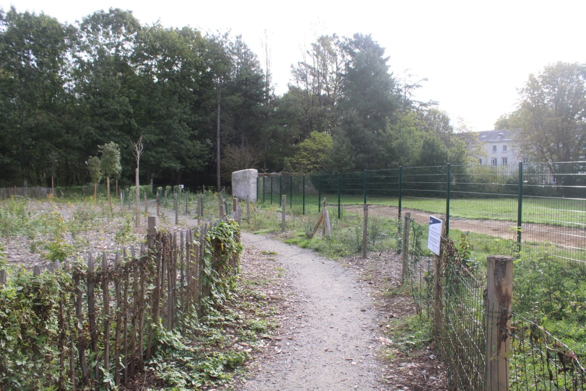 bois-des-Naudieres-IMG_4810