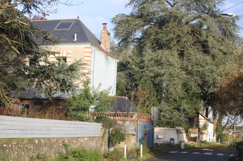 Leschaud-IMG_5690