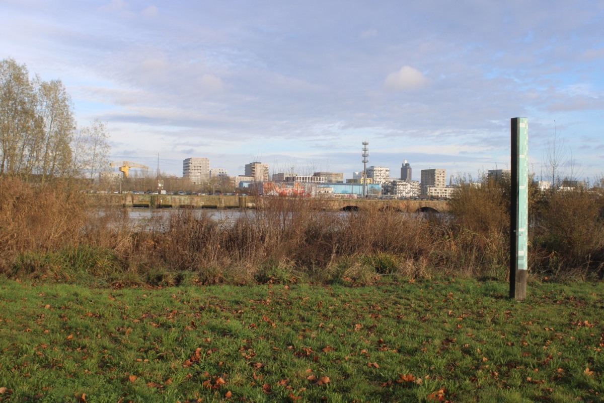 Leschaud-cale-Aubin-IMG_5694