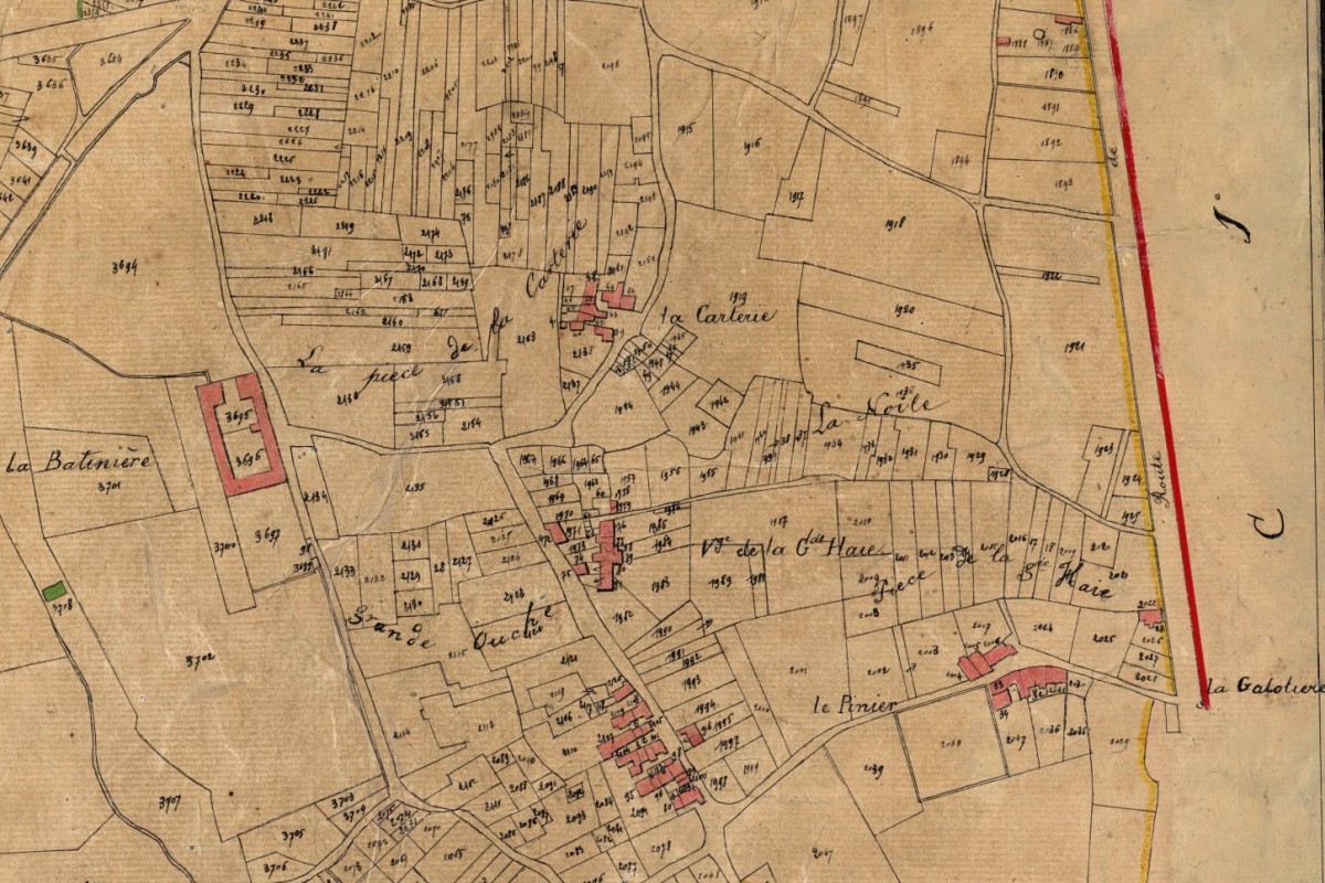 AMRezé_1826-B2-Baliniere-La-GrandHaie-Pinier