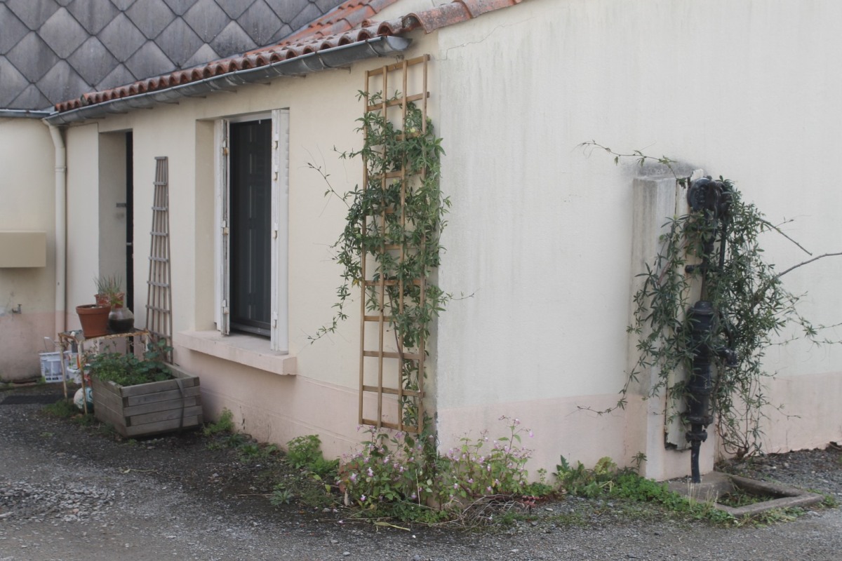 IMG_1459-la-Grand-Haie