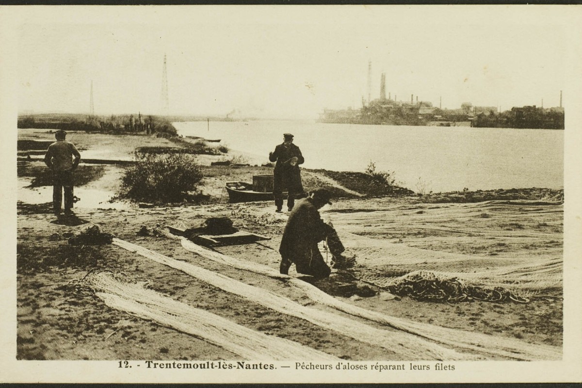 Greve-FRAC044143_5Fi1_008