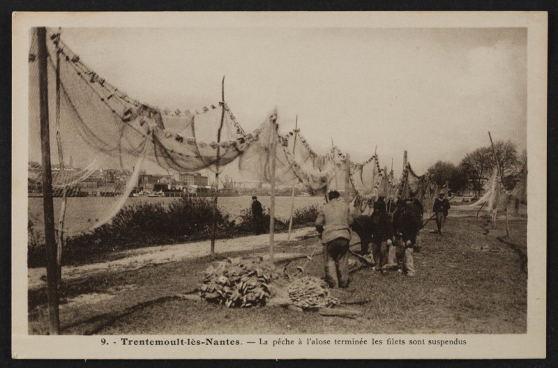 pecheurs-filets-FRAC044143_5FI3_132