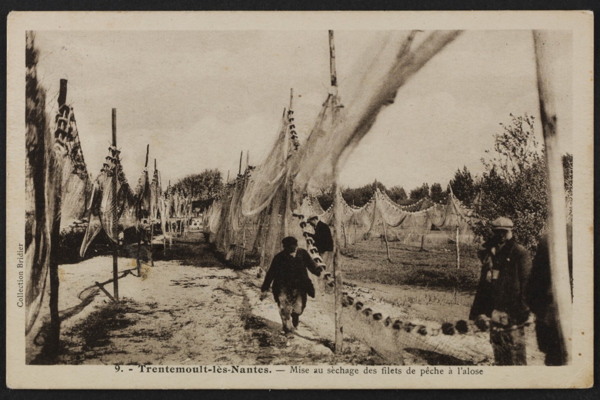 pecheurs-filets-FRAC044143_5FI3_230