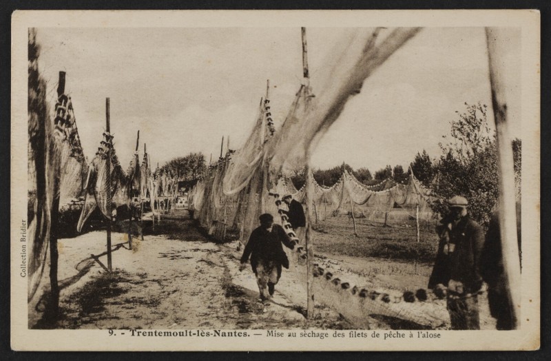 pecheurs-filets-FRAC044143_5FI3_230