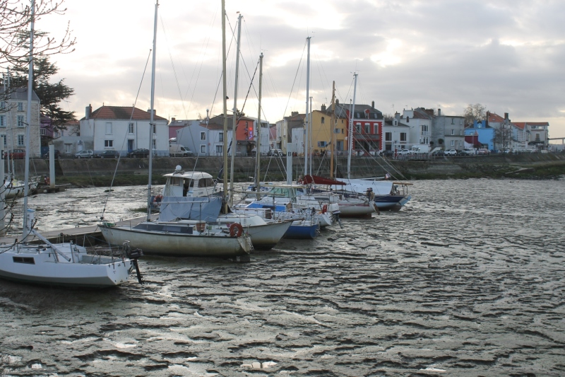 vase-Boissard-IMG_5162