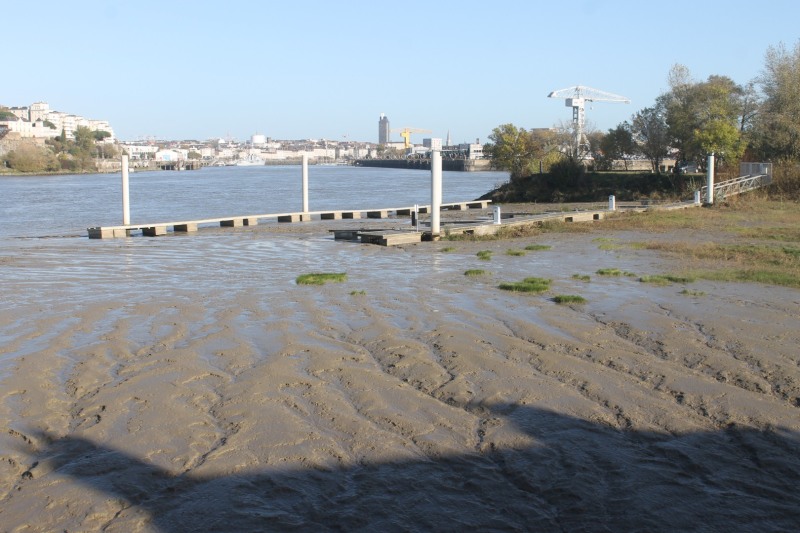 vase-Nantes-2019-IMG_6422