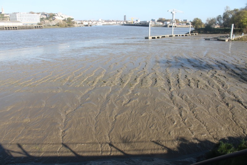 vase-Nantes-2019-IMG_6426