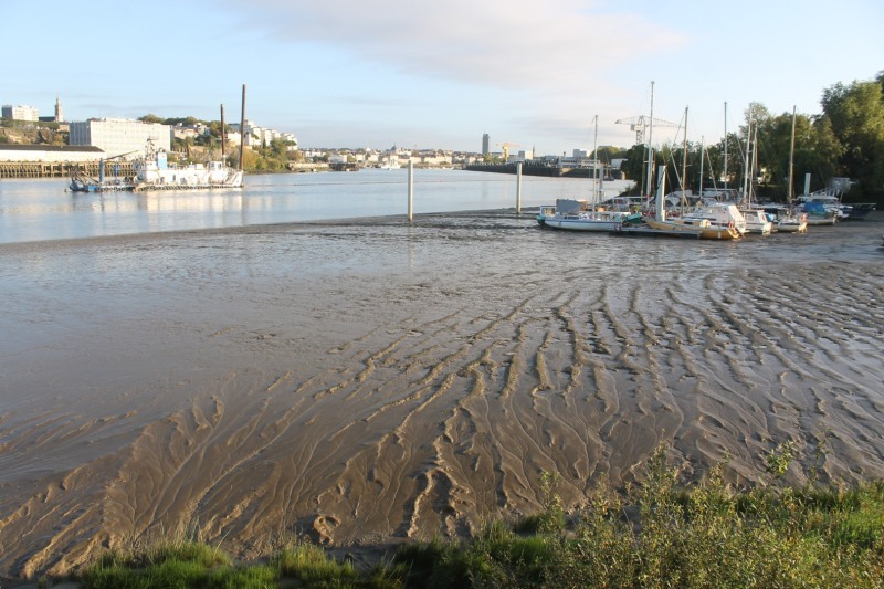 vase-Nantes-2022-IMG_6189