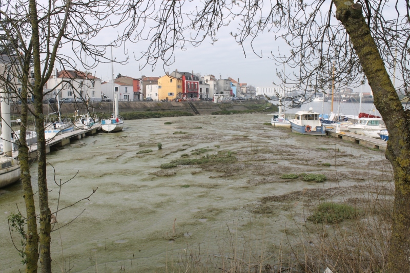 vase-dome-2019-IMG_5695